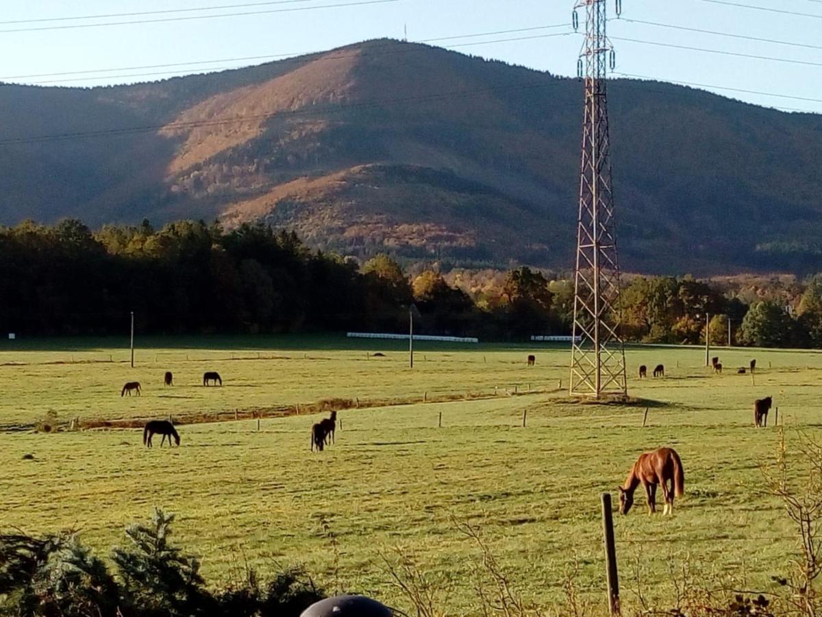 Chalupa Pa Frenštát pod Radhoštěm Buitenkant foto